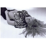 missnet-sejmout0008.jpg
Po�et zobrazen�: 1516 (6736.9275 dn�) pr.=0.2250
Rozm�r: 874 x 600 pixel
Velikost: 73.71 kB