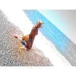 d11.jpg
Počet zobrazení: 1430 (5706.9371 dní) pr.=0.2506
Rozměr: 600 x 450 pixel
Velikost: 191.148 kB