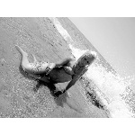 d5.jpg
Počet zobrazení: 1349 (5706.9373 dní) pr.=0.2364
Rozměr: 600 x 450 pixel
Velikost: 142.136 kB