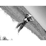 d7.jpg
Počet zobrazení: 1397 (5706.9335 dní) pr.=0.2448
Rozměr: 600 x 450 pixel
Velikost: 172.954 kB