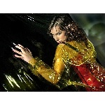 111092479.jpg
Počet zobrazení: 1528 (6491.1088 dní) pr.=0.2354
Rozměr: 600 x 449 pixel
Velikost: 240.197 kB